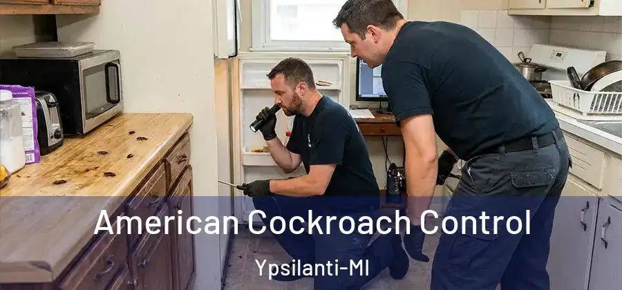 American Cockroach Control Ypsilanti-MI