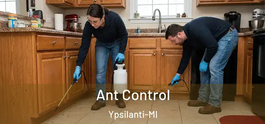 Ant Control Ypsilanti-MI