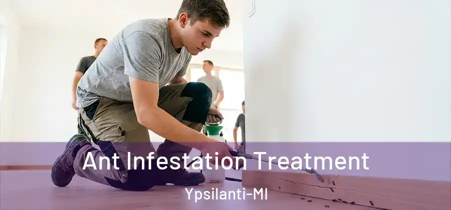 Ant Infestation Treatment Ypsilanti-MI