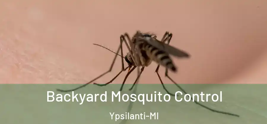 Backyard Mosquito Control Ypsilanti-MI
