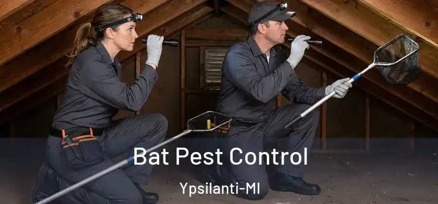 Bat Pest Control Ypsilanti-MI