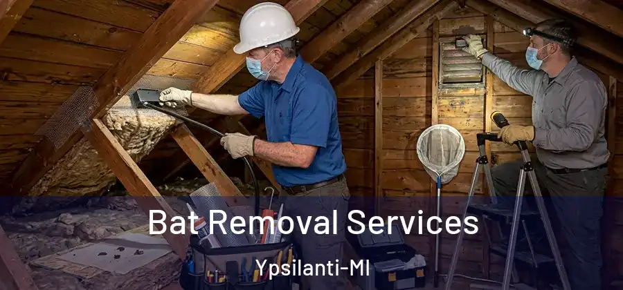 Bat Removal Services Ypsilanti-MI