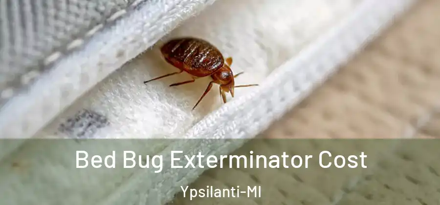 Bed Bug Exterminator Cost Ypsilanti-MI
