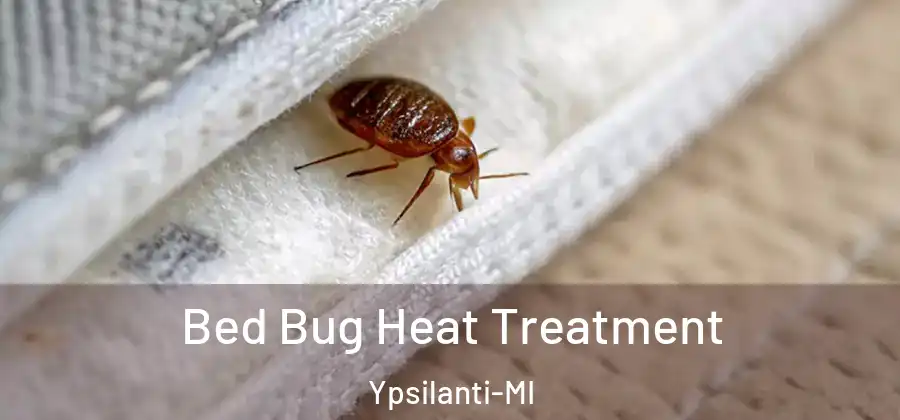  Bed Bug Heat Treatment Ypsilanti-MI