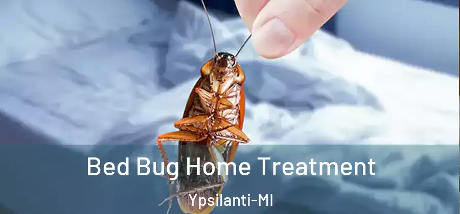Bed Bug Home Treatment Ypsilanti-MI