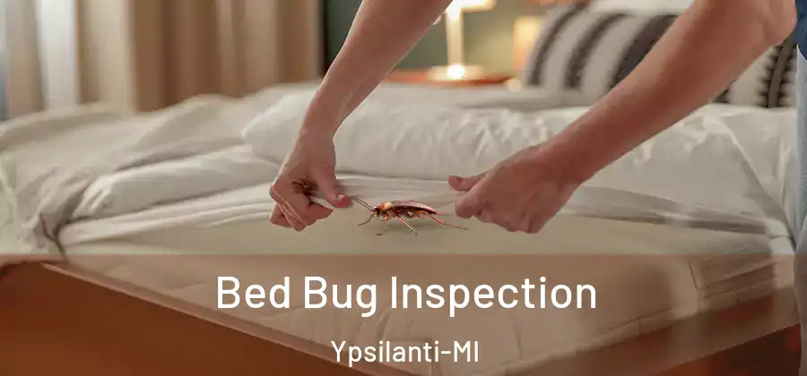 Bed Bug Inspection Ypsilanti-MI