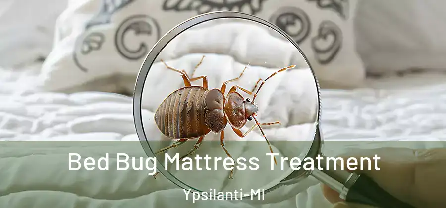 Bed Bug Mattress Treatment Ypsilanti-MI