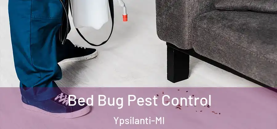 Bed Bug Pest Control Ypsilanti-MI