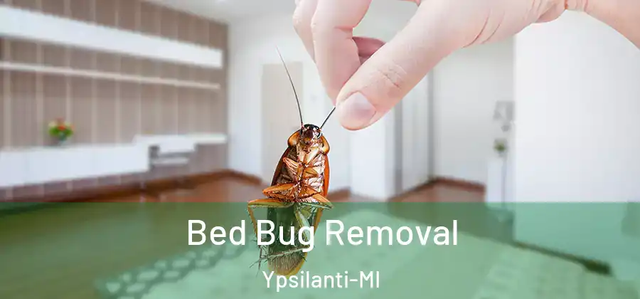  Bed Bug Removal Ypsilanti-MI