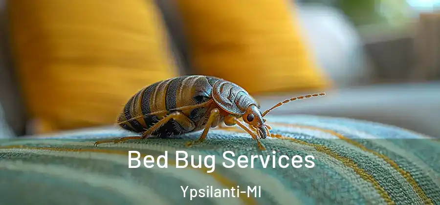 Bed Bug Services Ypsilanti-MI