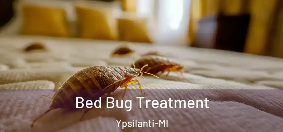Bed Bug Treatment Ypsilanti-MI