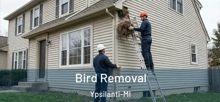 Bird Removal Ypsilanti-MI