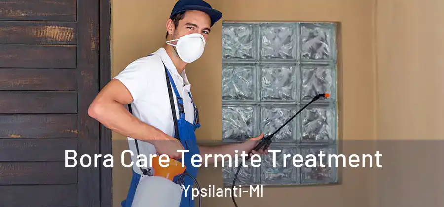 Bora Care Termite Treatment Ypsilanti-MI