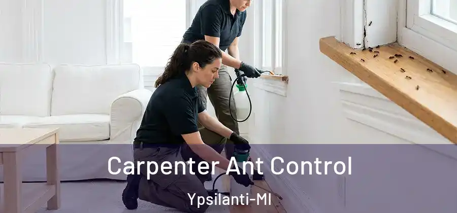 Carpenter Ant Control Ypsilanti-MI