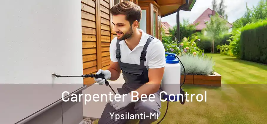 Carpenter Bee Control Ypsilanti-MI