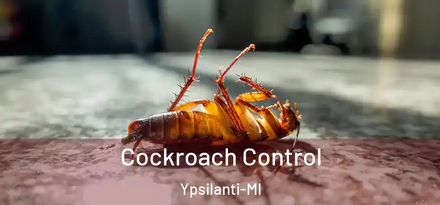 Cockroach Control Ypsilanti-MI