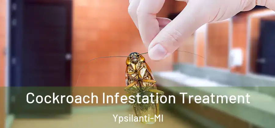 Cockroach Infestation Treatment Ypsilanti-MI
