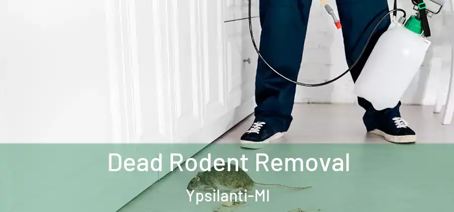 Dead Rodent Removal Ypsilanti-MI
