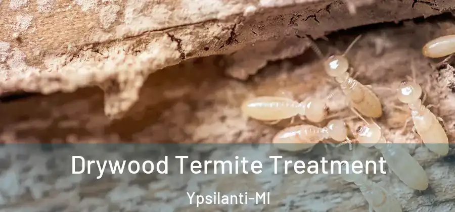 Drywood Termite Treatment Ypsilanti-MI