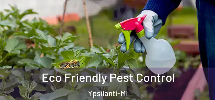 Eco Friendly Pest Control Ypsilanti-MI