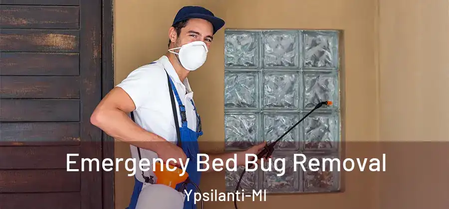 Emergency Bed Bug Removal Ypsilanti-MI