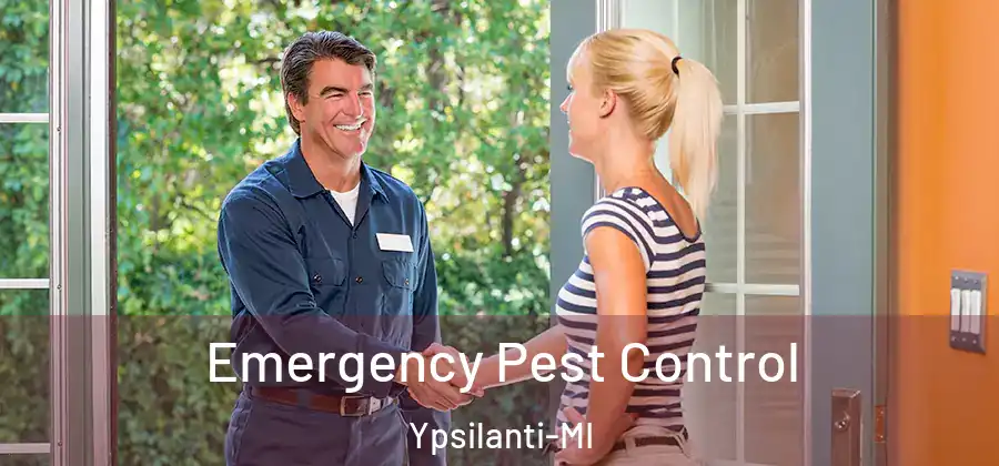Emergency Pest Control Ypsilanti-MI
