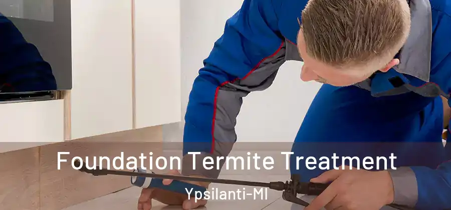  Foundation Termite Treatment Ypsilanti-MI