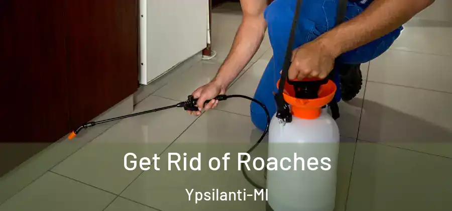 Get Rid of Roaches Ypsilanti-MI