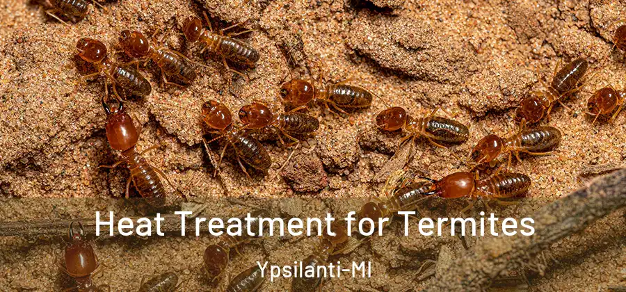 Heat Treatment for Termites Ypsilanti-MI