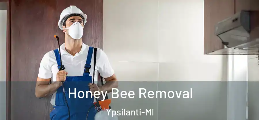 Honey Bee Removal Ypsilanti-MI