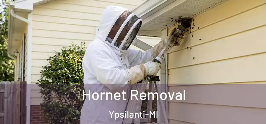  Hornet Removal Ypsilanti-MI