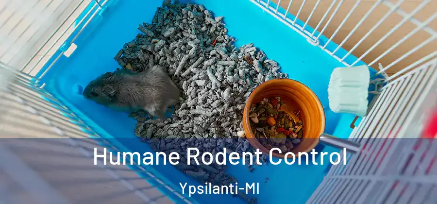 Humane Rodent Control Ypsilanti-MI