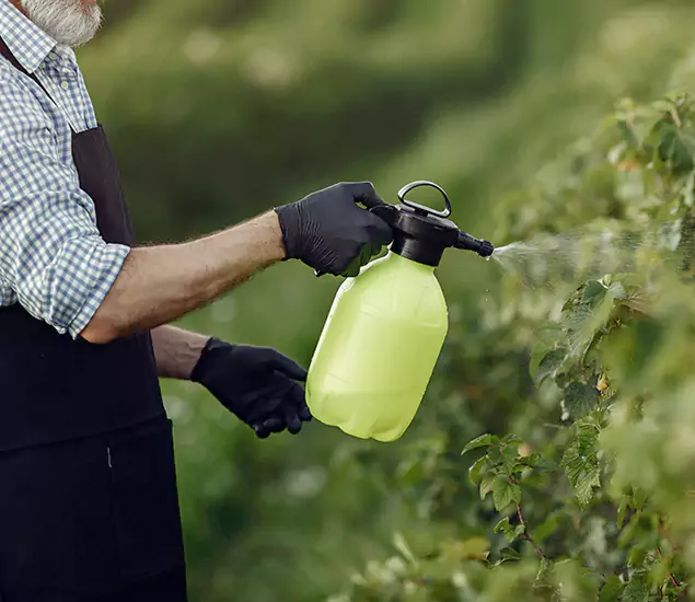 Your Proven Mosquito Treatment Company in Ypsilanti, MI
