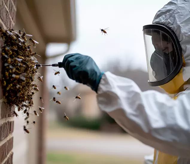Your Bee Removal Company in Ypsilanti, MI