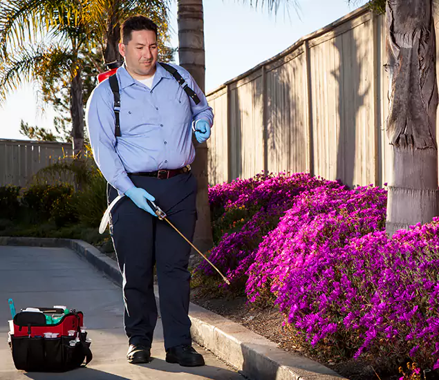 About Our Eco Safe Pest Control Experts in Ypsilanti, MI
