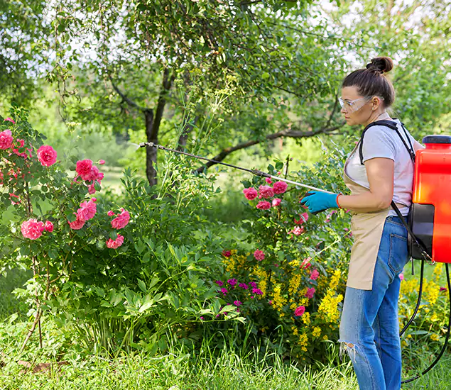 Your Trusted Mosquito Exterminator in Ypsilanti, MI
