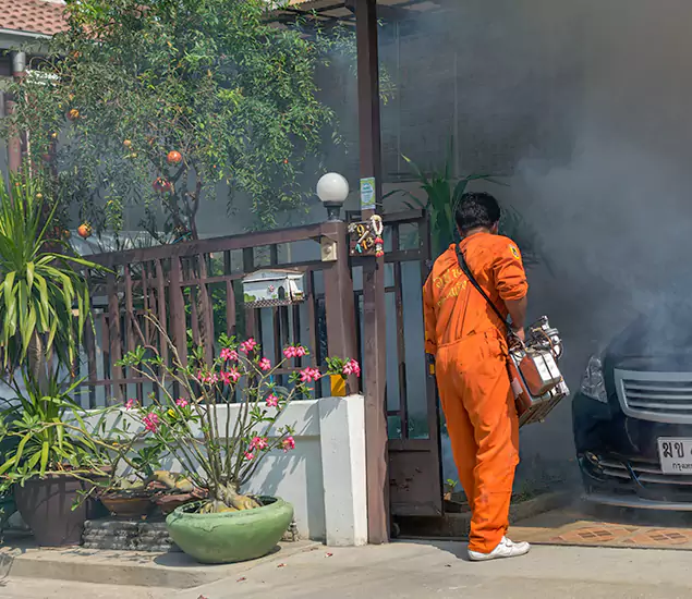Your Proven Mosquito Fogging Company in Ypsilanti, MI