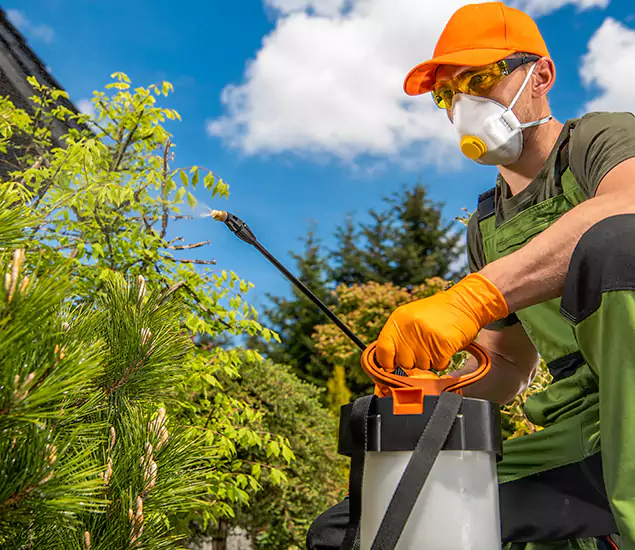 Your Best Bug Spray for Home Team in Ypsilanti, MI