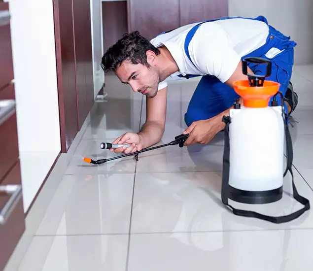 Reliable Professional Mouse Removal: Your Best Mouse Control Company in Ypsilanti, MI