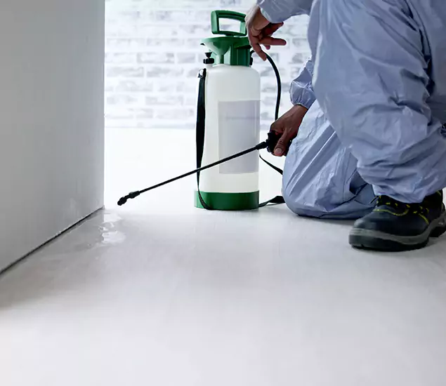 Affordable Pest Control Experts in Ypsilanti, MI