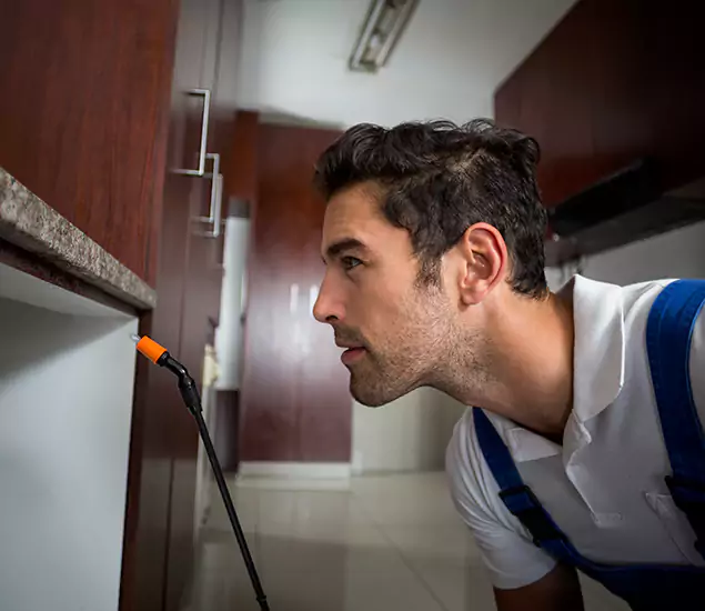 Expert Rodent in Attic Removal: Your Proven Pest Specialists in Ypsilanti, MI
