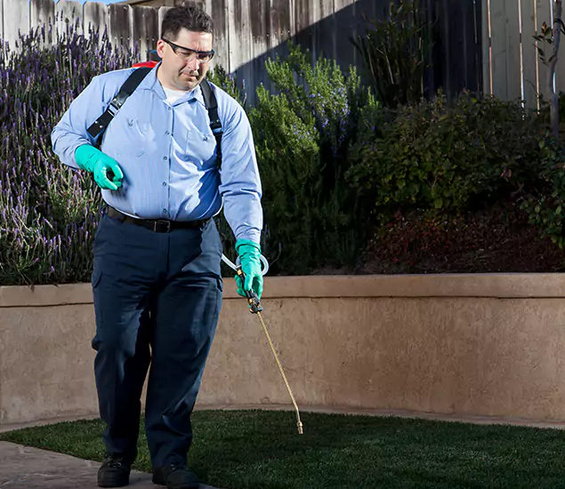 Reliable Termite Barrier Treatment Experts in Ypsilanti, MI