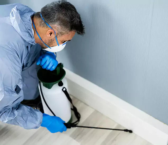 Reliable Termite Cost Experts in Ypsilanti, MI