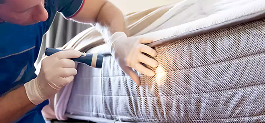 Residential Bed Bug Treatment Cost in Ypsilanti
