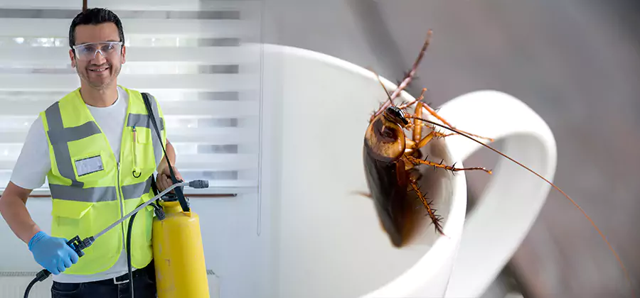 German Roach Infestation Treatment Ypsilanti