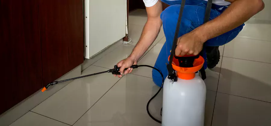 Indoor Mosquito Treatment in Ypsilanti