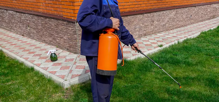 Non Toxic Termite Treatment in Ypsilanti