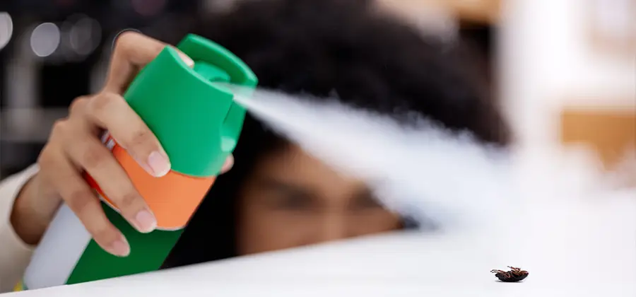 Child Safe Bed Bug Treatment in Ypsilanti