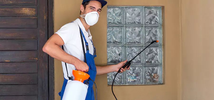 Pre-Construction Termite Treatment in Ypsilanti