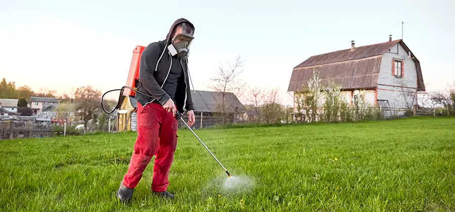 Flea and Tick Pest Control in Ypsilanti